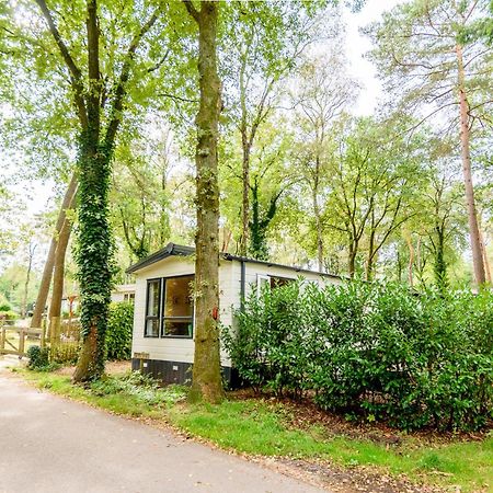 Veluwe Chalet Aan Het Bos - Kids - Pool - Dog Hoenderloo Ngoại thất bức ảnh