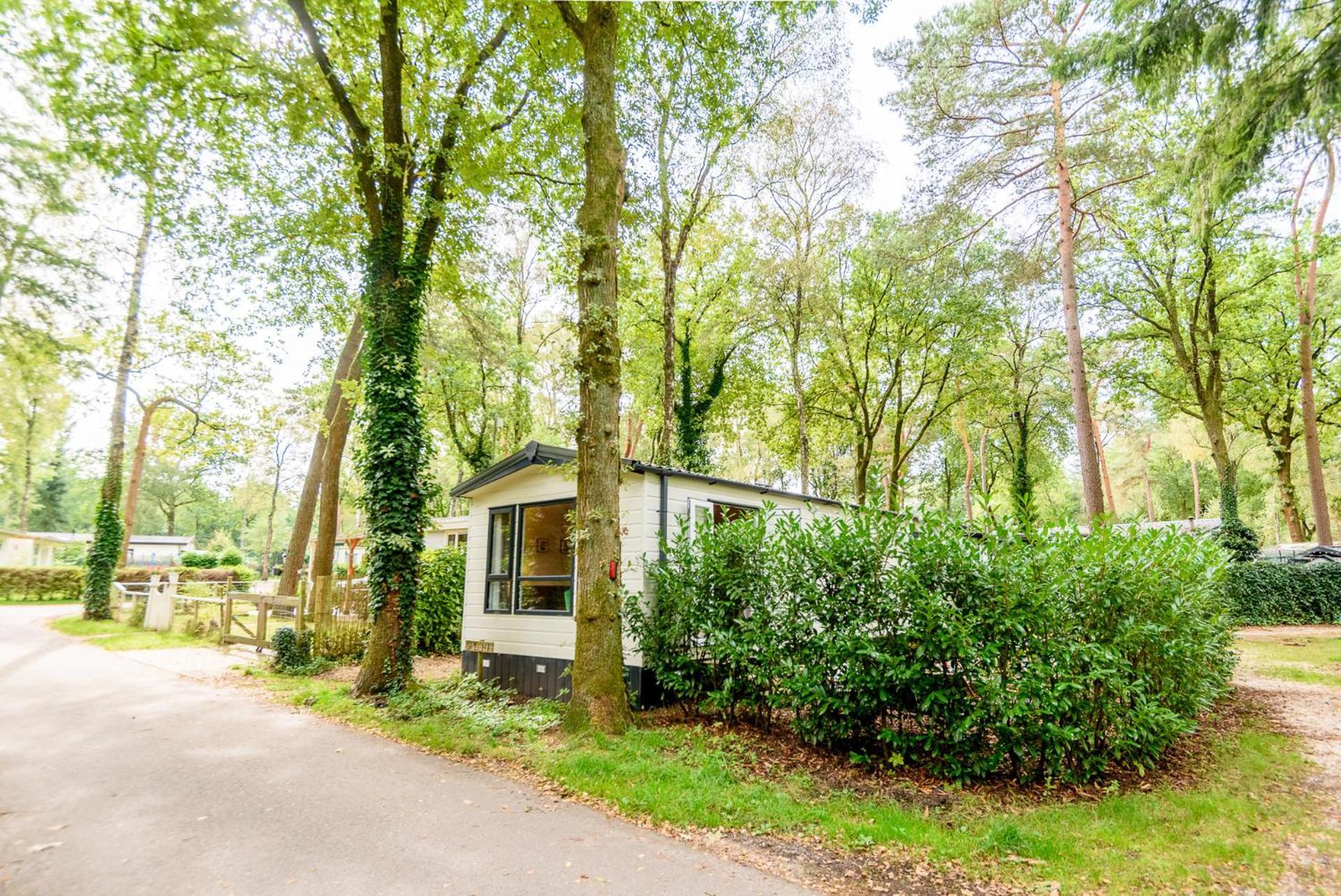 Veluwe Chalet Aan Het Bos - Kids - Pool - Dog Hoenderloo Ngoại thất bức ảnh